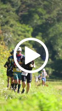 BIB:  <button type="button" onclick="openModal(26578338)" class="btn btn-primary btn-sm float-right" data-toggle="modal" data-target=".modal-high-quality">
                <i class="fa fa-download"></i> Download
                </button>